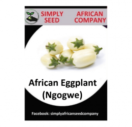 African Eggplant White (Ngogwe) Seeds