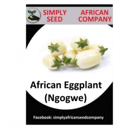 African Eggplant White (Ngogwe) Seeds