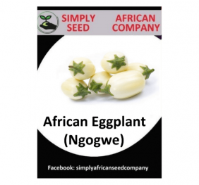 Eggplant African White (Ngogwe) Seeds