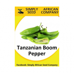 Tanzaniain Boom Pepper Seeds