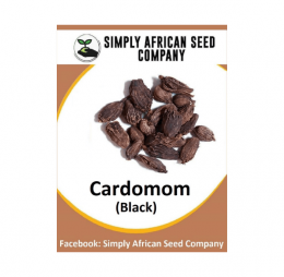 Black Cardomom Seeds