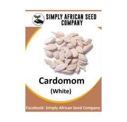 White Cardomom Seeds