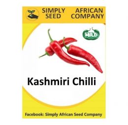 Kasmiri Chilli Seeds