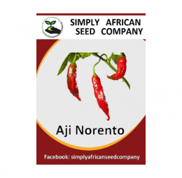 Aji Norento Seeds