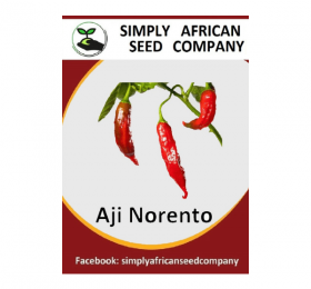 Aji Norento Seeds