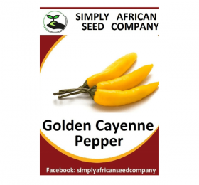 Golden Cayenne Seeds