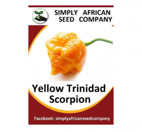 Yellow Trinidad Scorpion Seeds