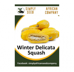 Winter Delicata Squash Seeds
