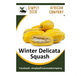 Winter Delicata Squash Seeds