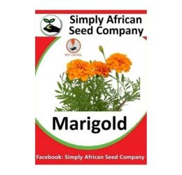 Marigold Seeds