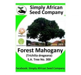 Forest Mahogany Seeds