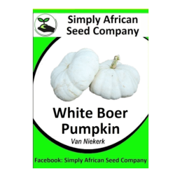 Pumpkin White Boer Pumpkin ( Van Niekerk) 20’s