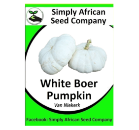 Pumpkin White Boer Pumpkin ( Van Niekerk) 20’s