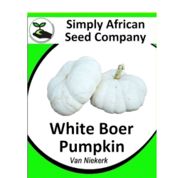 Pumpkin White Boer Pumpkin ( Van Niekerk) 20’s