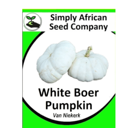 Pumpkin White Boer Pumpkin ( Van Niekerk) 20’s