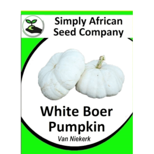 Pumpkin White Boer Pumpkin ( Van Niekerk) 20's