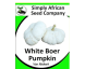 Pumpkin White Boer Pumpkin ( Van Niekerk) 20’s