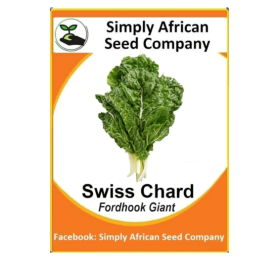 Swiss Chard Fordhook Giant 20’s