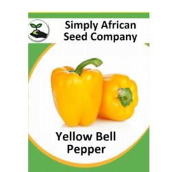 Bell Pepper Yellow 30’s
