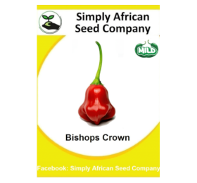 Bishops Crown 12’s