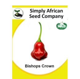 Bishops Crown 12’s