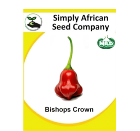 Bishops Crown 12’s
