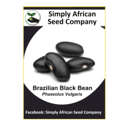 Beans Brazilian Black 15’s