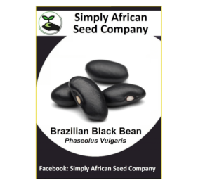 Beans Brazilian Black 15’s