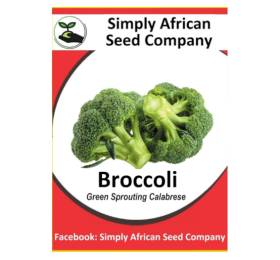 Broccoli, Green Sprouting Calabrese Seeds 30’s