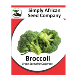 Broccoli, Green Sprouting Calabrese Seeds 30’s