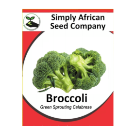 Broccoli, Green Sprouting Calabrese Seeds 30’s