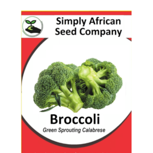 Broccoli, Green Sprouting Calabrese Seeds 30's