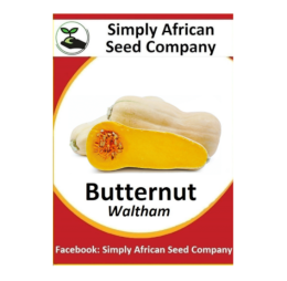 Butternut Waltham 30’s