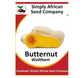 Butternut Waltham 30’s