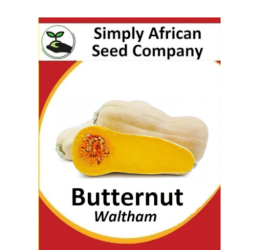 Squash Butternut Waltham 30’s