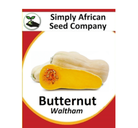 Squash Butternut Waltham 30’s
