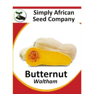 Squash Butternut Waltham 30's