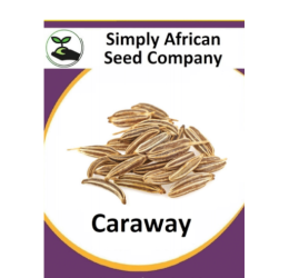 Caraway 50’s