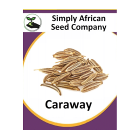 Caraway 50’s