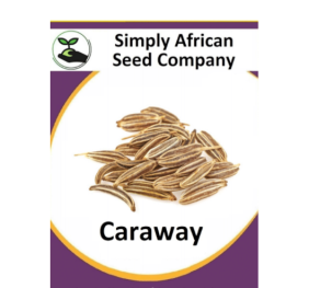 Caraway 50’s