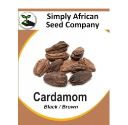 Cardamom Black 6’s
