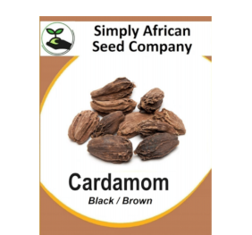 Cardamom Black 6’s