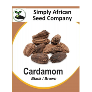 Cardamom Black 6's