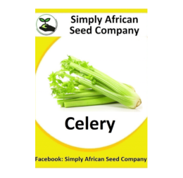 Celery 100’s
