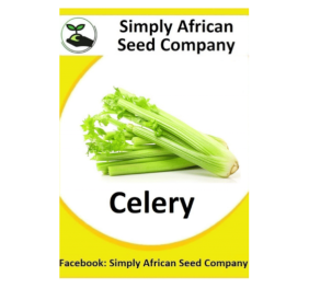 Celery 100’s