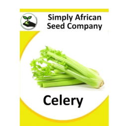 Celery 100’s