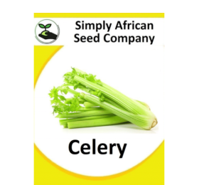 Celery 100’s