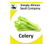 Celery 100’s