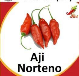 Aji Norteno Seeds