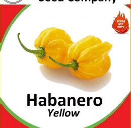 Yellow Habanero Seeds